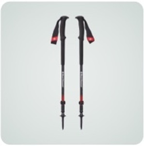 Trekking Poles image